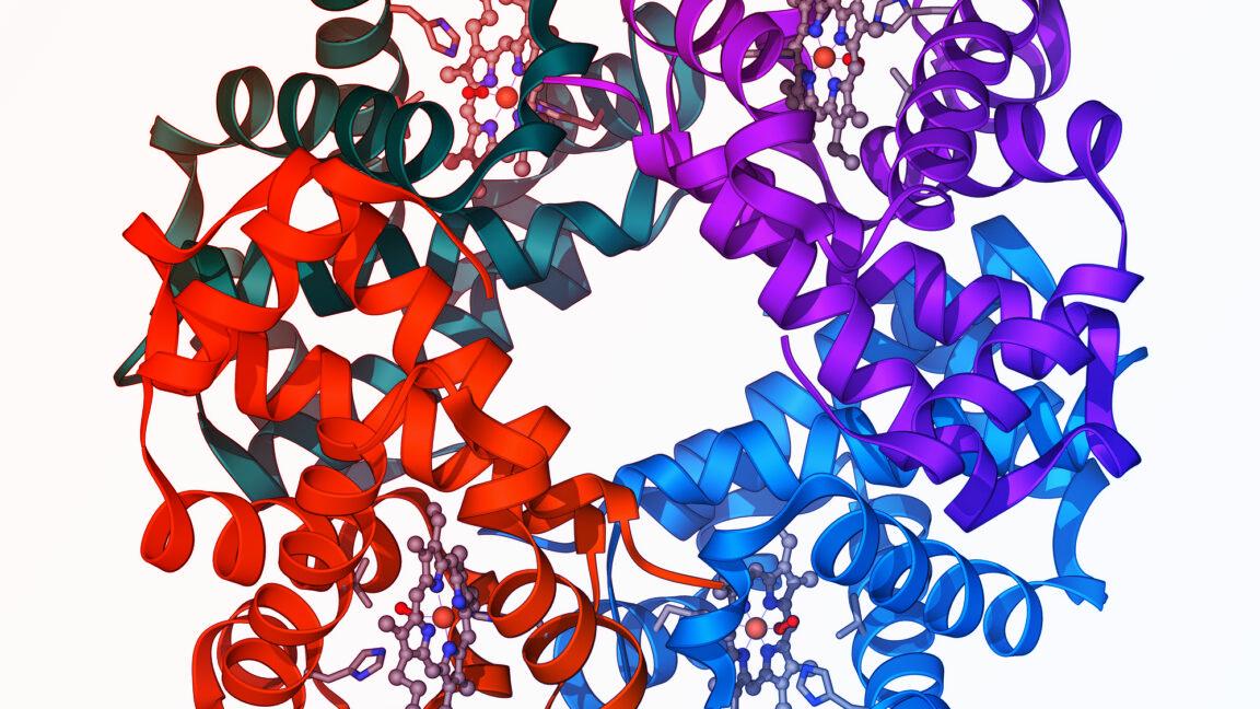 Az áttörés: a β-thalassaemiában is végre célt ér a génszerkesztés