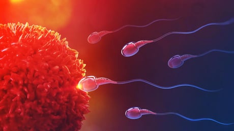 Az áttörés küszöbén: jön a visszafordítható férfi fogamzásgátló?