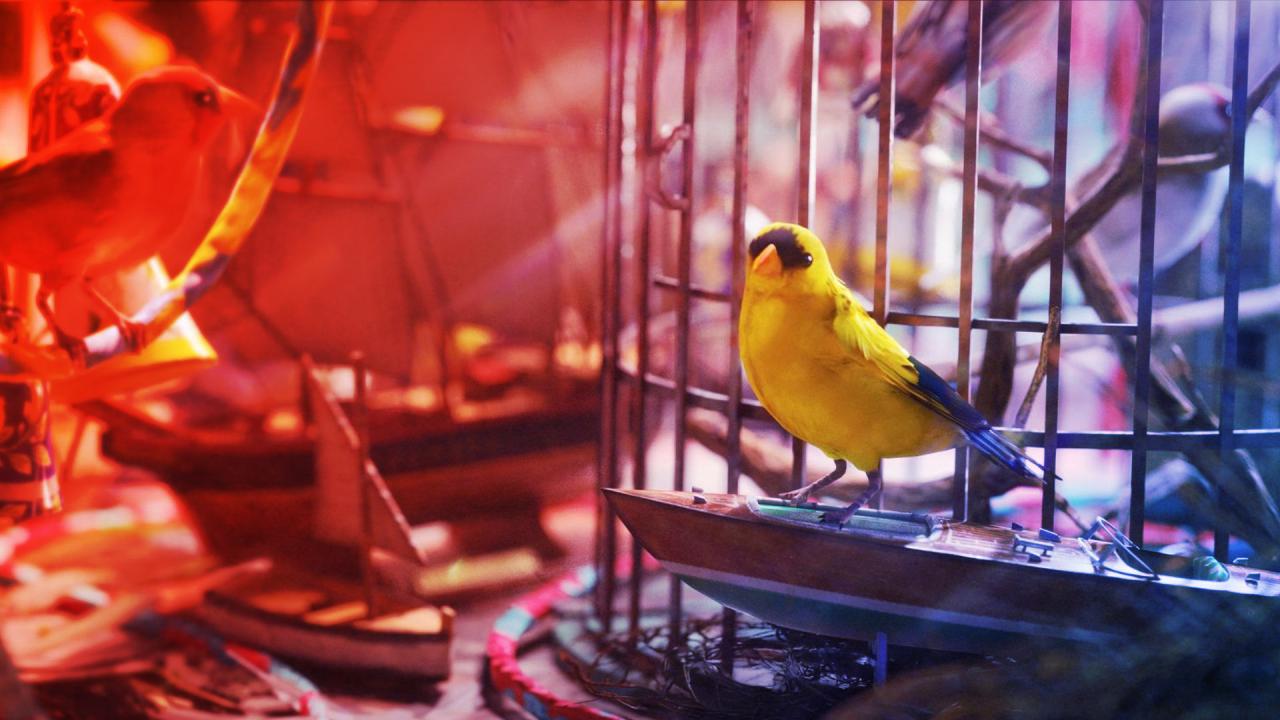 Az Avian Alarm küldetés összes trükkje és titka az Arc Raidersben