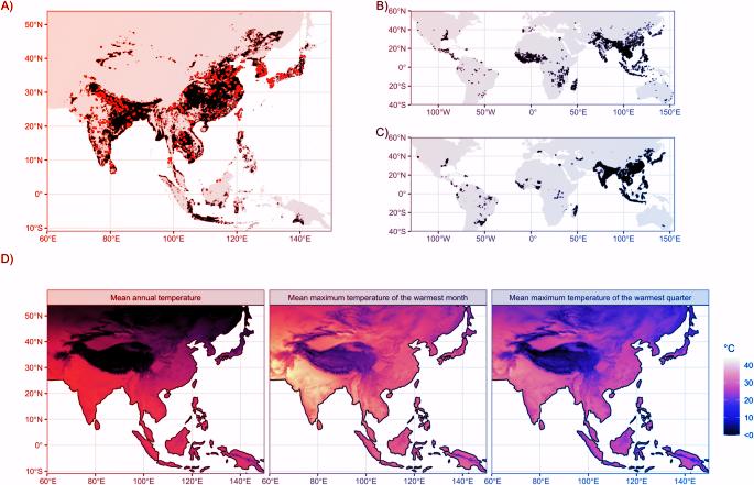Az ázsiai rizs a szakadék szélén: a klímaváltozás átlépte a túlélési hőhatárt