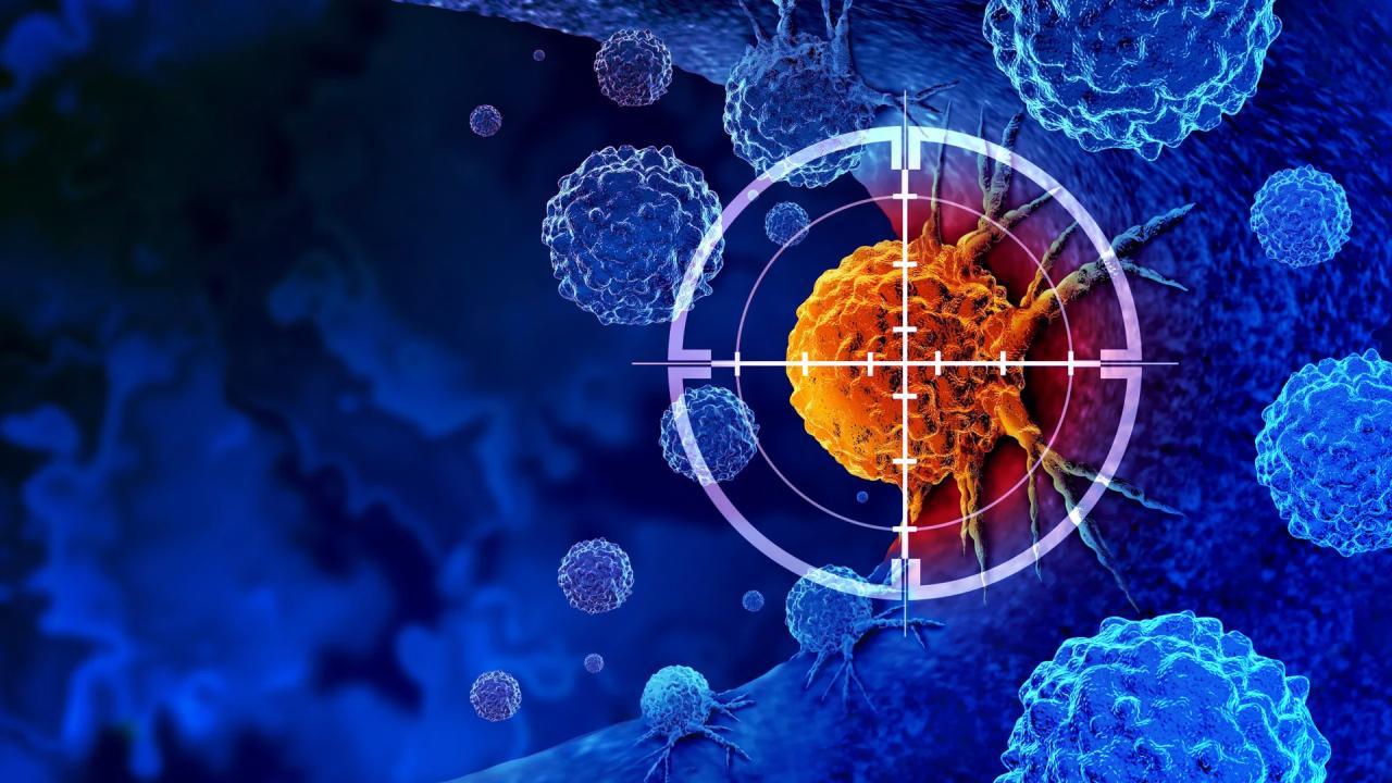 Az egyszerű tápanyag, amely új erőt adhat a rákkezelésnek
