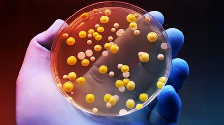 Az életmentő grafén: baktériumölő csoda, emberre nézve veszélytelen