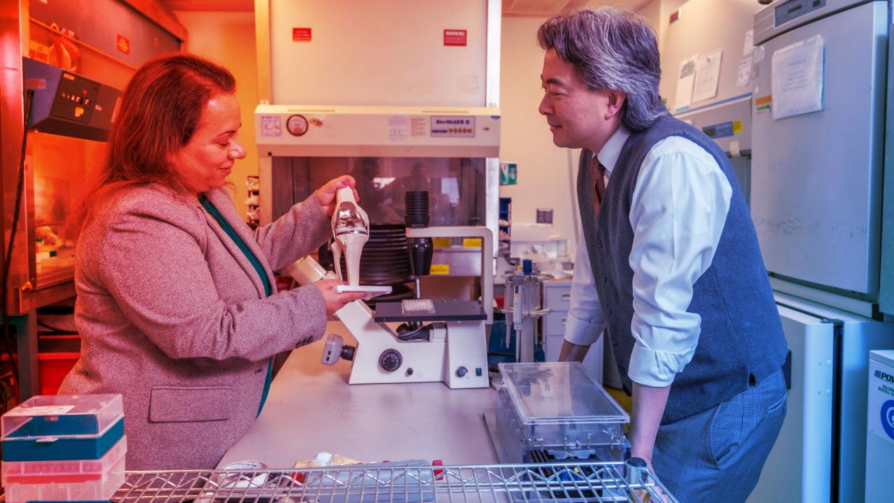 Az élő térdprotézis áttörése: búcsú a fém-műanyag korszaknak?