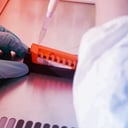 Az első baktériumdob: hallgasd, melyik kórokozó fertőzött meg!