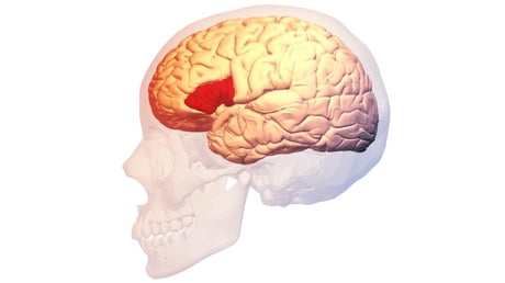 Az első beszédközpont születése: Broca és Tan sorsdöntő találkozása