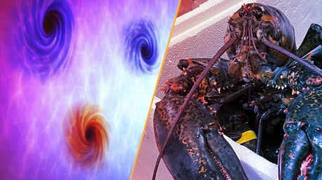 Az ember evolúciója gyorsul, közben híznak a jegesmedvék