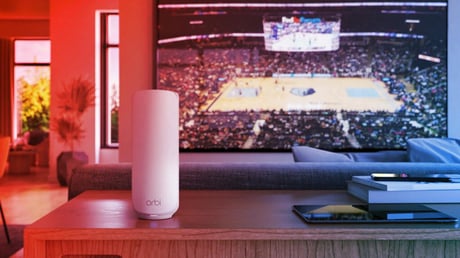 Az FCC monopóliumhoz juttatta a Netgeart az otthoni routerpiacon