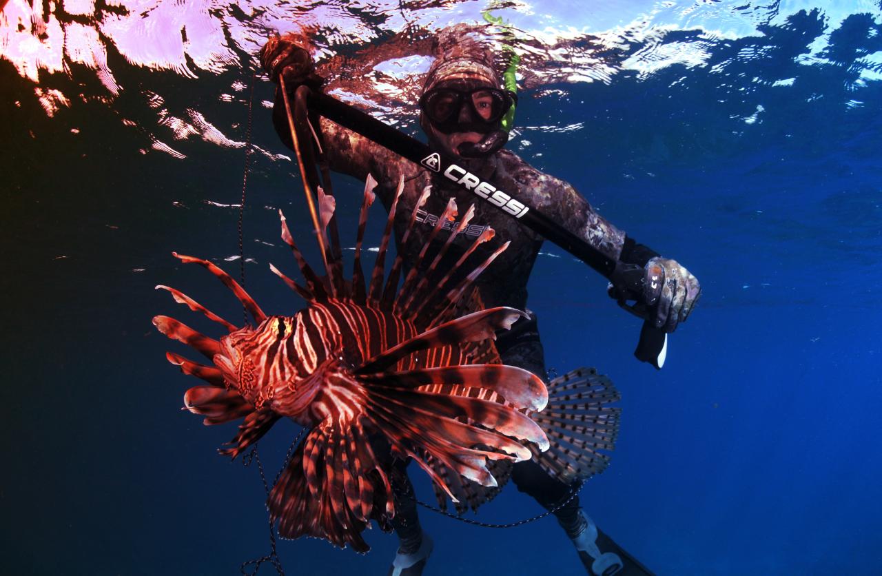 Az invazív halbőrtől a zöld tetőkig: így termel pénzt a természet