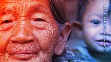 Az öregedés visszafordítása: küszöbön a sejtreprogramozás emberkísérlete