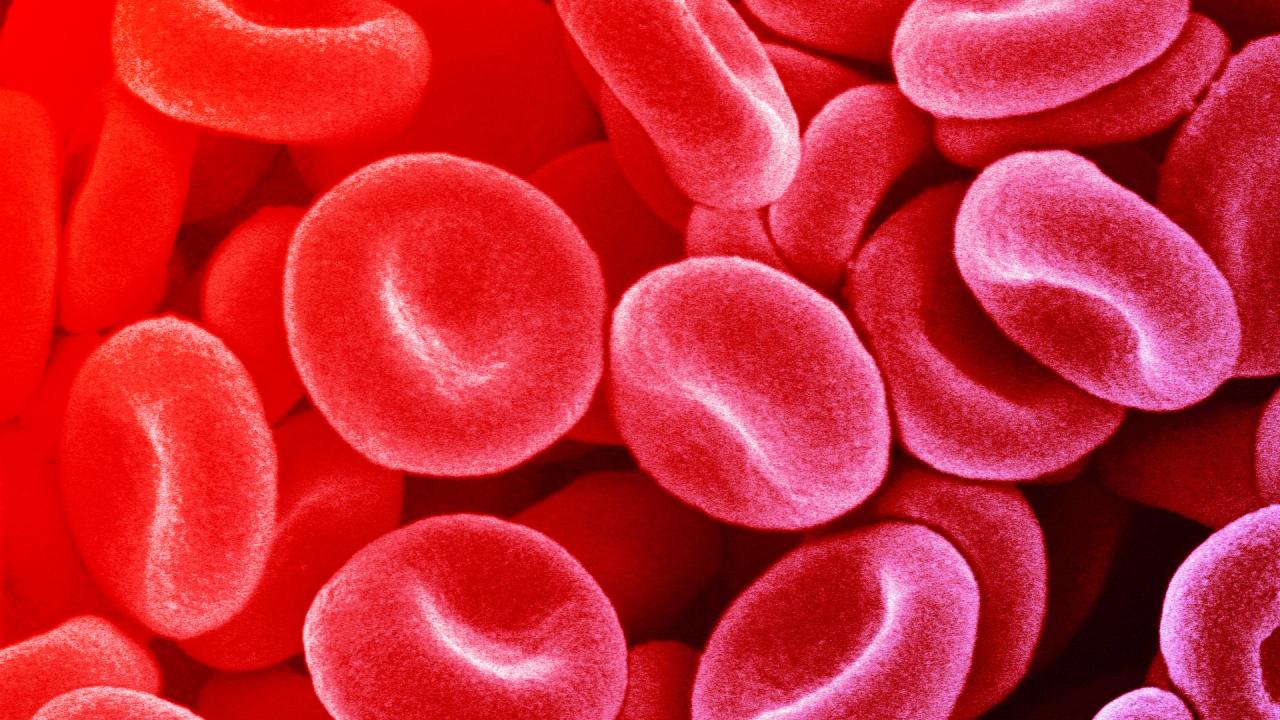 Az oxigénhiány meglepő titka: védhet a magaslati élet a cukorbetegségtől?