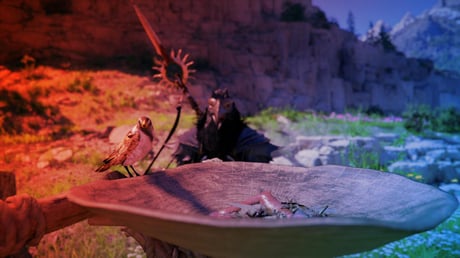 Az új őrület a Crimson Desertben: madarak szelídítése háziállatnak