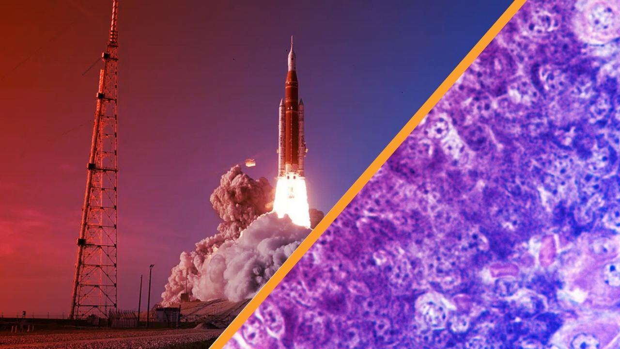 Az űrutazás új hajnala: döbbenetes tudományos áttörések küszöbén