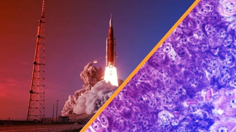 Az űrutazás új hajnala: döbbenetes tudományos áttörések küszöbén