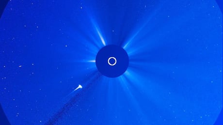 Az üstökös halála, a Potomac utolsó órái