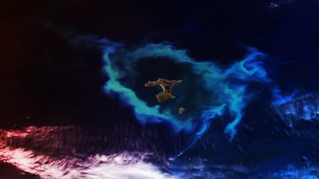 Mi áll az Új-Zélandot körülölelő fénylő planktongyűrű mögött?