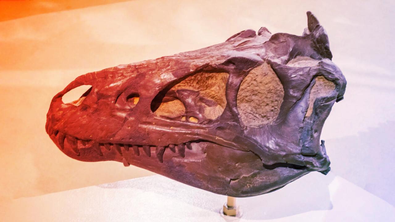 Valóban létezett az apró, de halálos Nanotyrannus?