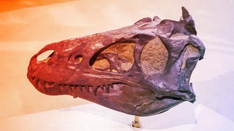 Valóban létezett az apró, de halálos Nanotyrannus?