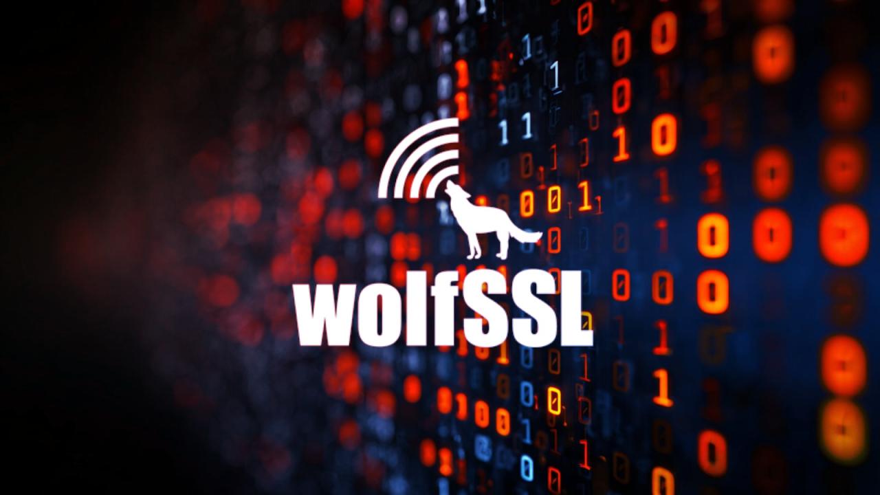 Veszélyben az MI: súlyos sebezhetőség a wolfSSL-ben