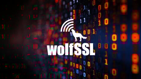 Veszélyben az MI: súlyos sebezhetőség a wolfSSL-ben