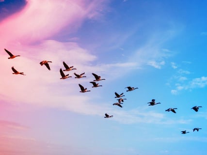 A 700 millió dolláros migráció: a Solv Protocol Chainlinkre vált LayerZeróról