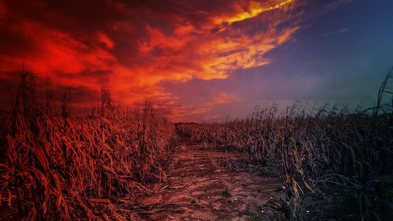 A klímaváltozás az élelmiszer-ellátást a szakadék szélére sodorja