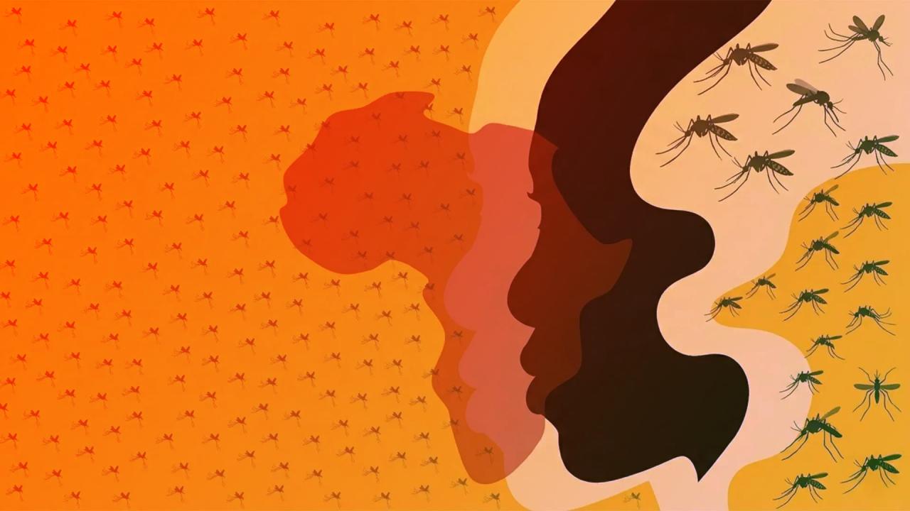 A maláriás szúnyogok újraírják az evolúció törvényeit