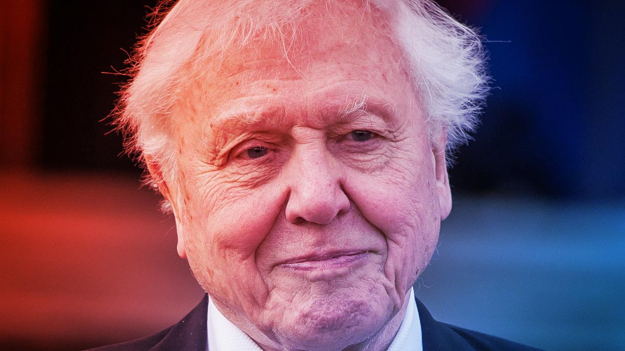 A százéves Sir David Attenborough: 13 meglepő tény a legendáról