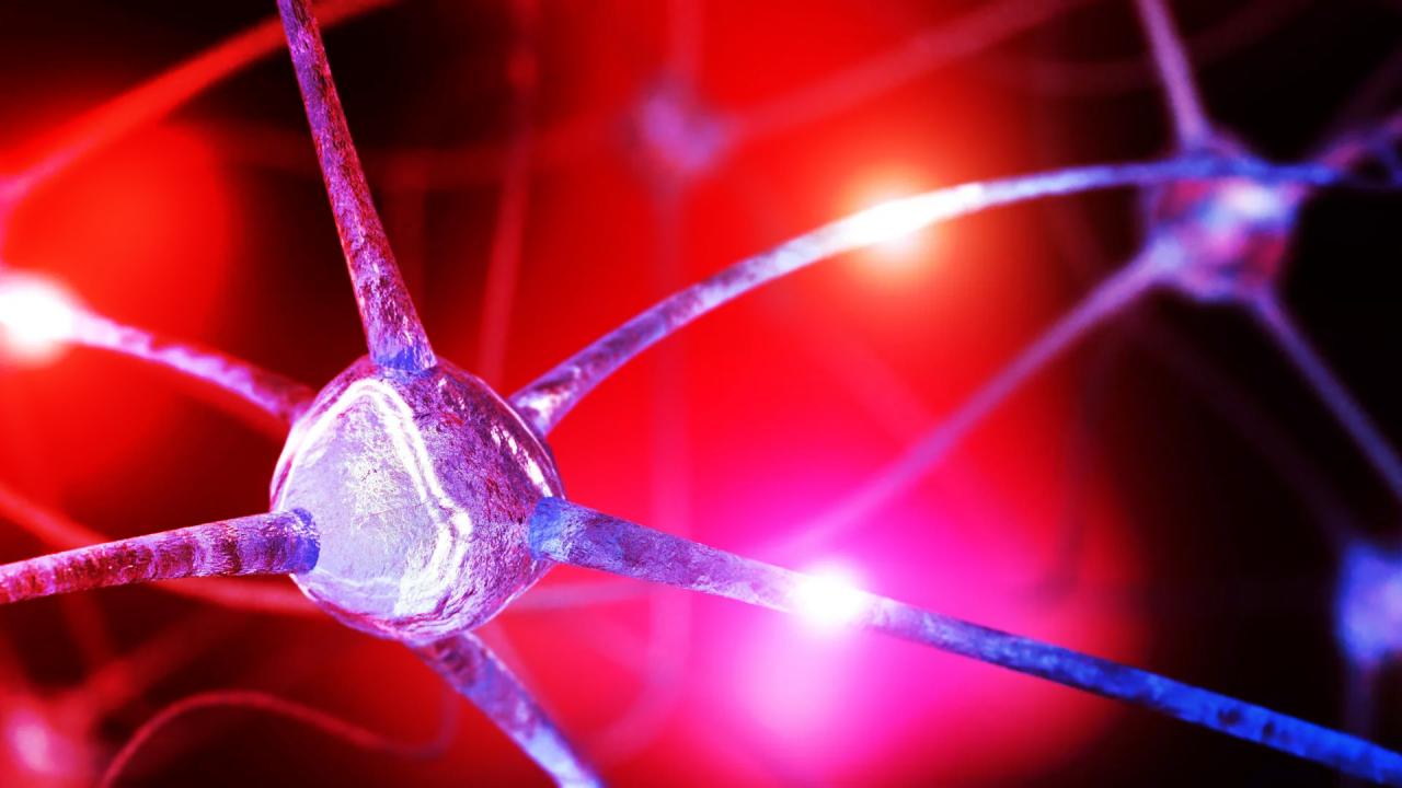 Az agy rejtett tápanyaghiánya állhat a szorongás mögött