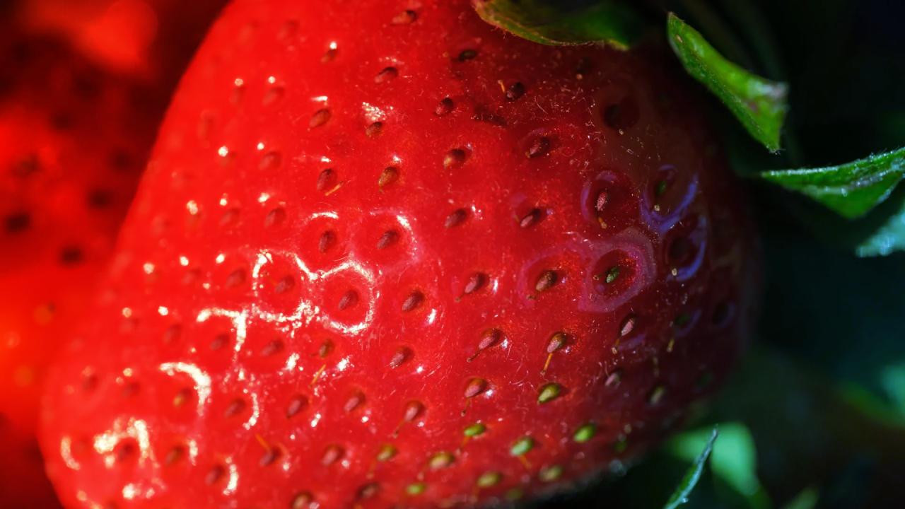 Az eper új korszaka: finomabb, táplálóbb, növekedés módosítása nélkül