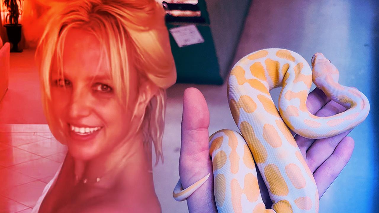 Az új Britney Spears: spirituális út ittas vezetési vádalku után, kígyós fotó
