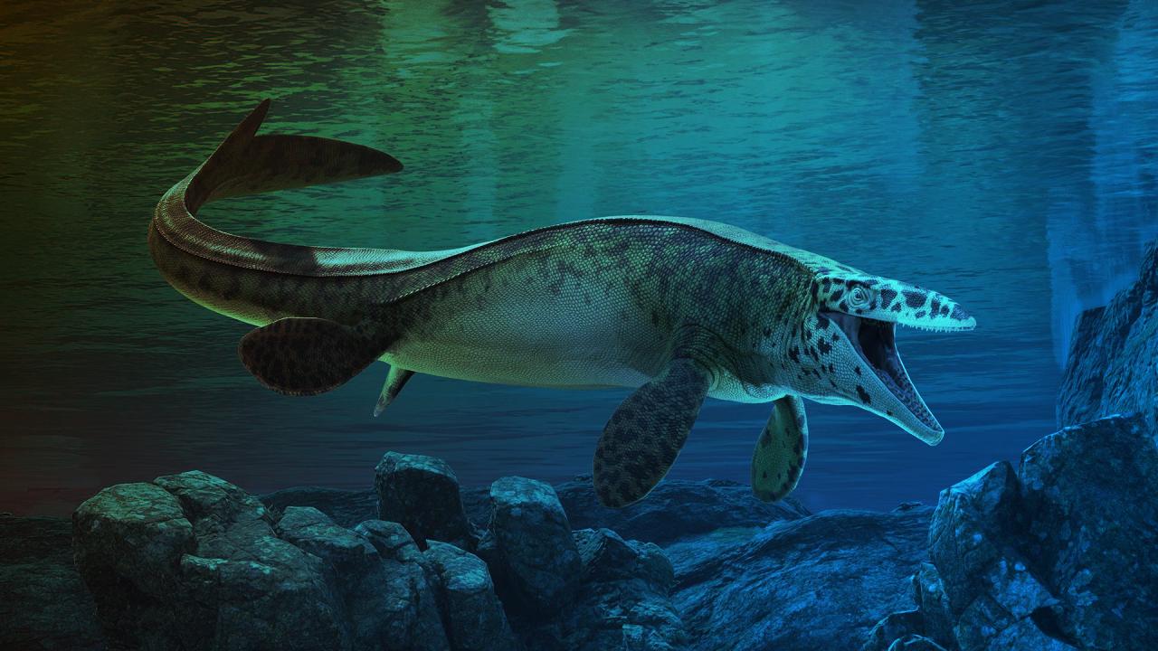 Az új tengeri T. rex: koponyazúzó harapású texasi rém