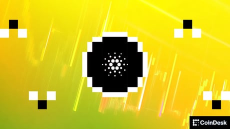 A 20 cent alá zuhanó ADA mellett forr a Cardano-közösség