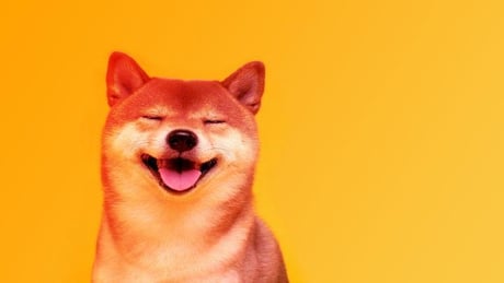 A bitcoin 60 ezret ostromol, a Dogecoin és Shiba Inu 9%-ot esnek