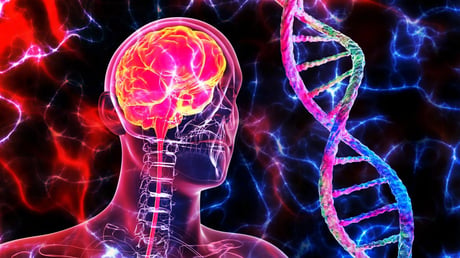 A kutatók meglepő kapcsolatot találtak az Alzheimer-kór és a rák között