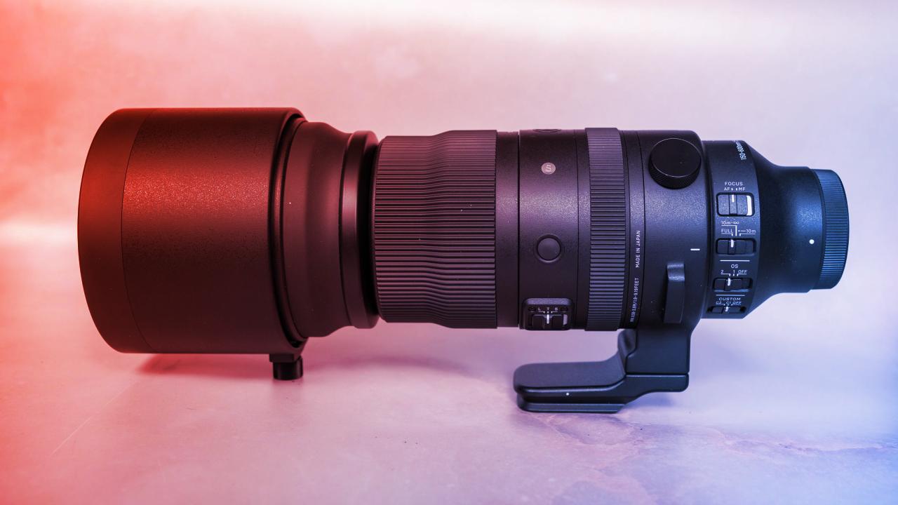 A megfizethető szupertele: SIGMA 150–600 mm Sport teszt vadfotós szemmel