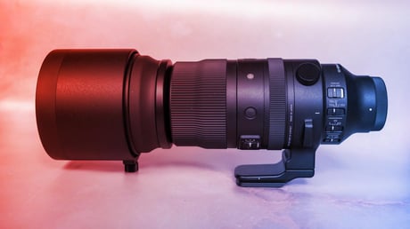 A megfizethető szupertele: SIGMA 150–600 mm Sport teszt vadfotós szemmel