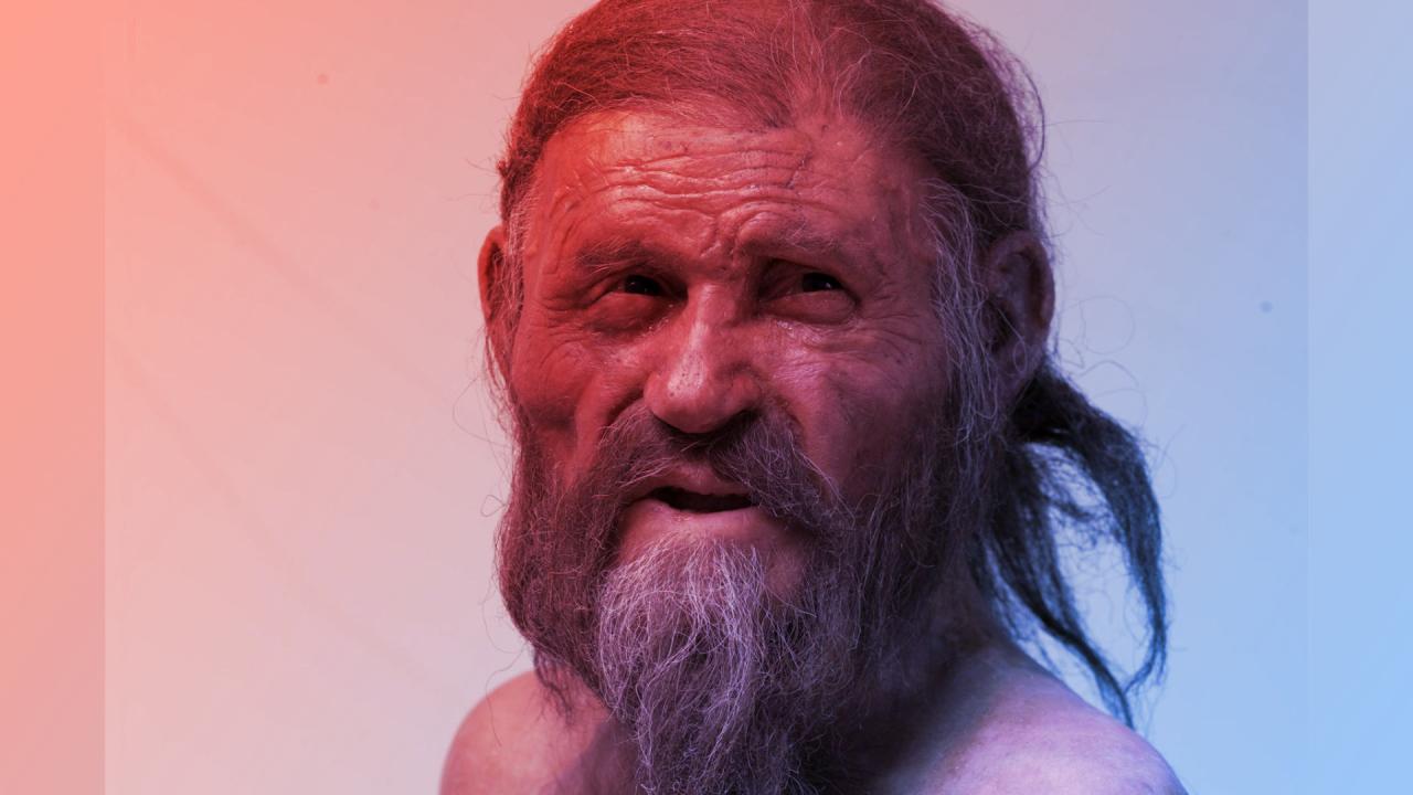 Az 5300 éves élesztő feltámad: Ötzi testéből kovász készült