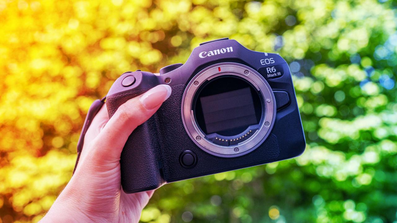 A vadfotózás új csodája: Canon EOS R6 III