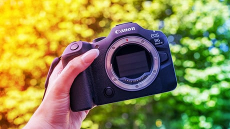 A vadfotózás új csodája: Canon EOS R6 III