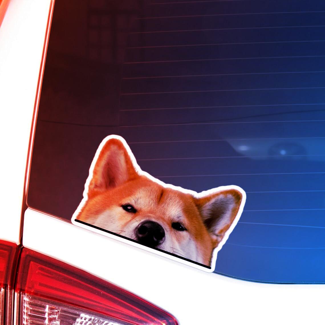 Shiba Inu matrica minden felületre