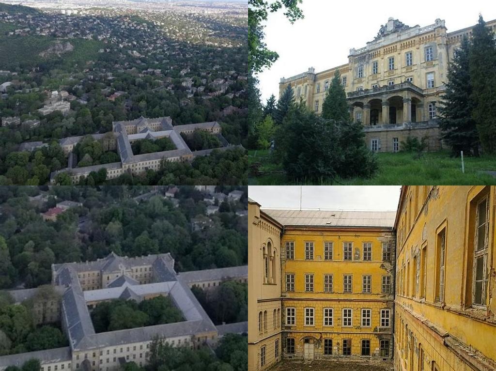 Országos Pszichiátriai és Neurológiai Intézet (National Institute of Psychiatry and Neurology)