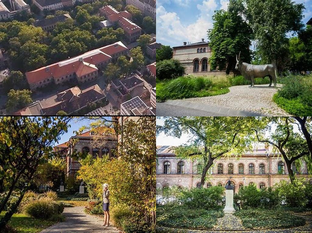 Állatorvostudományi Egyetem (University of Veterinary Medicine)