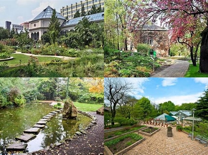 9383Füvészkert (Botanical Garden)