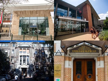 9411Semmelweis Egyetem Klinikák (Semmelweis University Clinics)