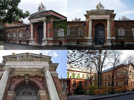 9418Szent István Kórház eklektikus, téglaburkolatos, pavilonos rendszerű (St. Stephen Hospital eclectic, brick-clad, pavilion-style)