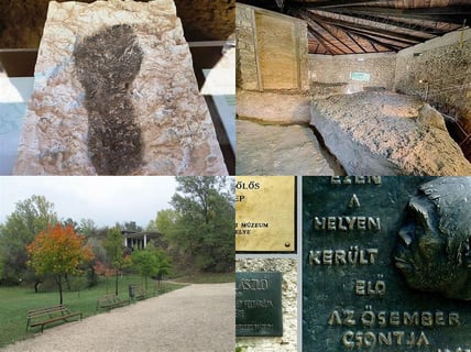 10393Vértesszőlősi Őstelep (Vértesszőlős Prehistoric Site)