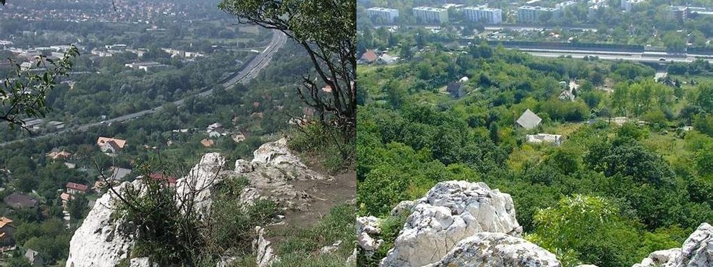 Bódis-hegy (Bódis Hill)