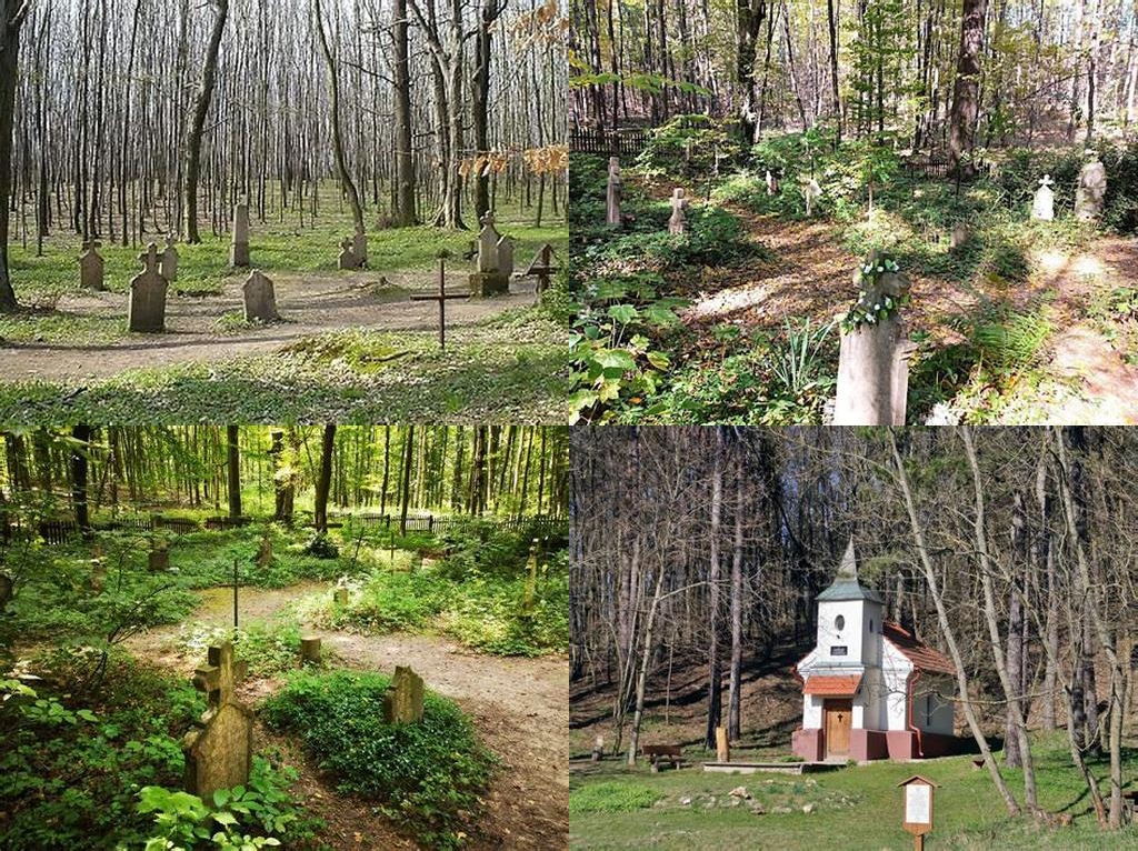 Körtvélyesi erdei temető (Körtvélyes Forest Cemetery)