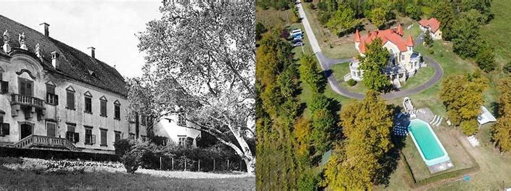 Scholtz-Albin-kastély (Scholtz-Albin Mansion)