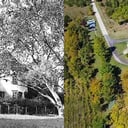 10581Scholtz-Albin-kastély (Scholtz-Albin Mansion)